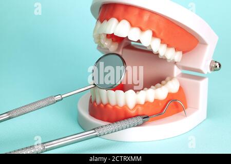 Mâchoire avec outils de dentiste sur fond vert. Banque D'Images