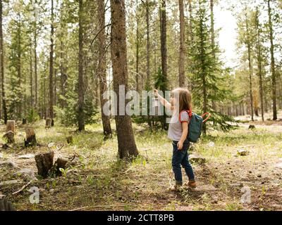 Fille (4-5) marchant dans une forêt avec une lanterne, forêt nationale de Wasatch-cache Banque D'Images