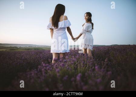 France, femmes en robe blanche dans le champ de lavande Banque D'Images