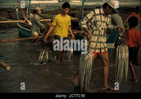 Les pêcheurs déchargent des poissons frais d'un bateau sur une plage de Sawarna, un village côtier faisant face à l'océan Indien, situé administrativement à Bayah, Lebak, Banten, Indonésie. Banque D'Images