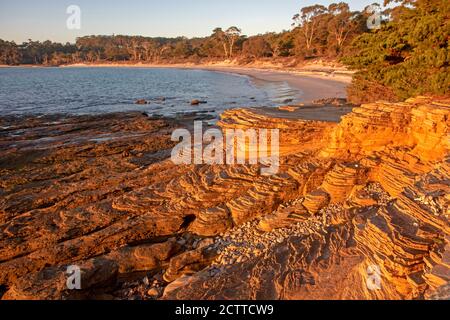 Les falaises peintes et la plage de Hopground sur l'île Maria Banque D'Images