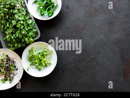 Assortiment de micro-verts sur fond de pierre noire, espace de copie, vue du dessus. Radis rouge, pois verts, tournesol et autres pousses dans des bols. lif sain Banque D'Images