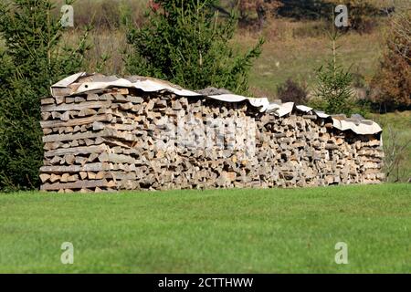 Pile de bois de chauffage empilé recouverte d'une protection épaisse en nylon à sécher dans la maison familiale arrière-cour entouré de fraîchement coupé herbe et petits arbres Banque D'Images