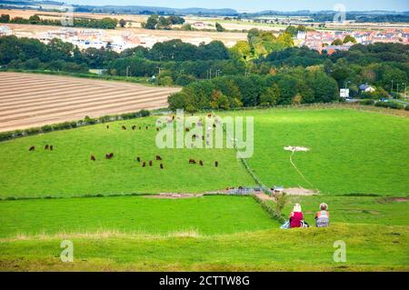Deux femmes d'âge moyen avec un joli chien en admirant le paysage anglais rural avec des vaches en pâturage et des bâtiments de village en arrière-plan. Vue arrière. Wiltshire. Banque D'Images