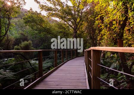 Un chemin en bois à travers l'environnement naturel du parc naturel de Las Batuecas-Sierra de Francia, Salamanque, Espagne Banque D'Images