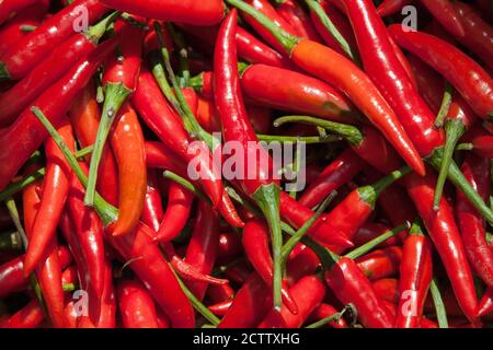 Piments thaï sur un étal de marché à Lopburi, Thaïlande. Banque D'Images