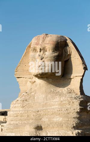 Le grand Sphinx, Giza, le Caire, l'Égypte Banque D'Images