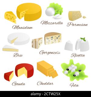 Ensemble d'aliments isolés au fromage différents types illustration vecteur Illustration de Vecteur