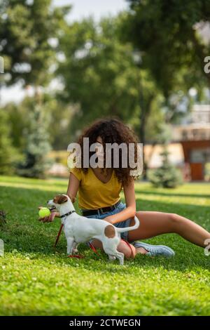 Objectif sélectif de la jeune femme tenant le ballon de tennis et regardant au chien Banque D'Images