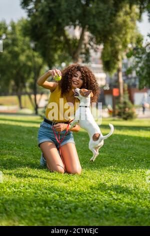 Objectif sélectif de la jeune femme tenant le ballon de tennis et regardant au saut de chien Banque D'Images