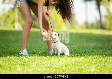 Vue courte d'une jeune femme tenant un ballon de tennis et regardant au chien Banque D'Images