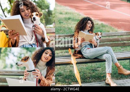 collage de freelance élégant utilisant ordinateur portable et livre de lecture pendant assis sur un banc dans le parc avec le chien jack russell terrier Banque D'Images