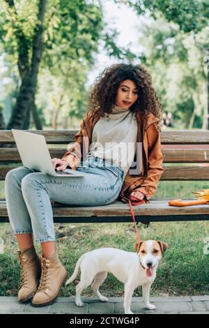 concentration sélective d'un indépendant élégant assis sur un banc avec un ordinateur portable et le chien de terrier russell sur la laisse Banque D'Images