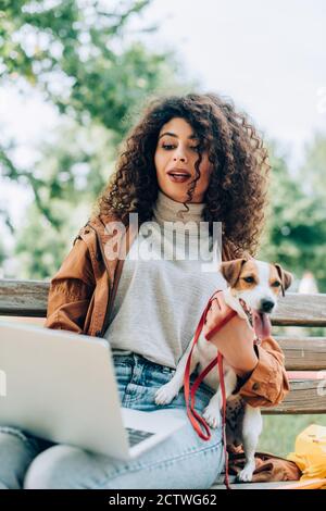concentration sélective d'un indépendant élégant utilisant un ordinateur portable lorsqu'il est assis banc avec chien de terrier jack russell Banque D'Images