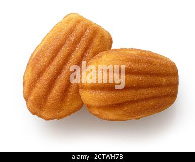 Gâteaux Madeleines fraîchement cuits isolés sur fond blanc, vue de dessus Banque D'Images