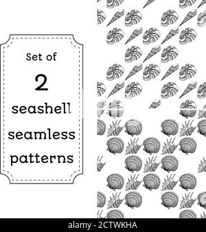 Ensemble de motifs géométriques sans couture de coquillages. Illustration vectorielle en style boho. Le concept de conception pour les tissus, le papier, la marque. Page de livre de coloriage pour adulte. Illustration de Vecteur