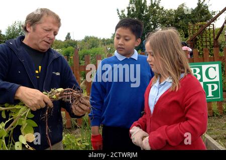 Les enfants des écoles locales visitent les allotissements de Scotchman Road et apprécient le jardinage, la récolte, la cuisine et la consommation des produits, Leeds Banque D'Images