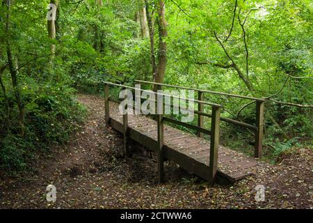 Passerelle en bois au-dessus d'un ruisseau séché dans une forêt à feuilles larges à Priors Wood, Portbury, North Somerset, Angleterre. Banque D'Images