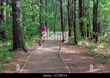 Femme marchant sur un sentier naturel dans la réserve naturelle nationale Rachel Carson à Wells, Maine, tout en portant un masque facial. Banque D'Images