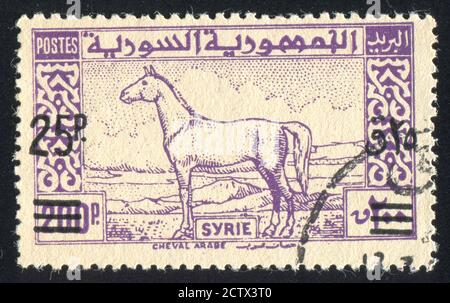 SYRIE - VERS 1946: Timbre imprimé par la Syrie, montre Arab Horse, vers 1946. Banque D'Images