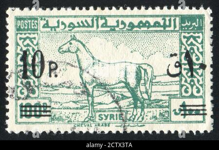 SYRIE - VERS 1946: Timbre imprimé par la Syrie, montre Arab Horse, vers 1946. Banque D'Images