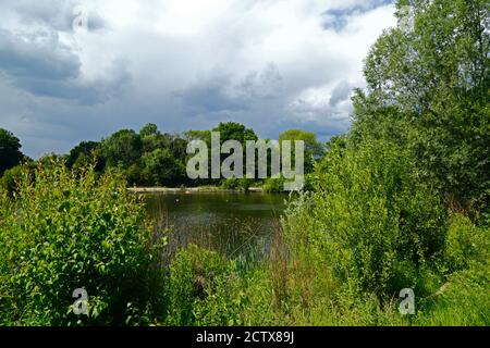 Vue sur le lac Barden lors d'une journée d'été, Haysden Country Park, près de Tonbridge, Kent, Angleterre Banque D'Images