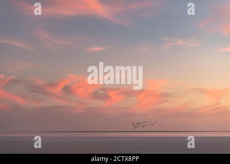 Coucher de soleil sur la mer avec un ciel nuageux et rouge éclatant et un troupeau d'oiseaux. Fond de lever de soleil sur l'océan. Photographie de paysage Banque D'Images
