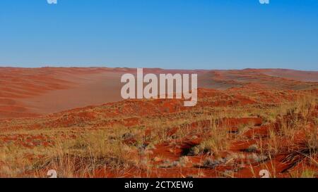 Vue panoramique sur une vallée entourée de grandes dunes de sable rouge couvertes par notre herbe jaune séchée près de Sesriem, désert du Namib, Namibie, Afrique. Banque D'Images