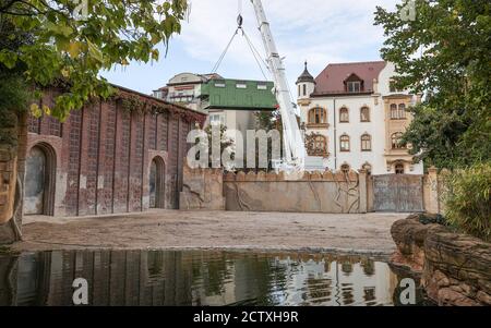 Leipzig, Allemagne. 25 septembre 2020. L'un des conteneurs pour le déplacement des cinq éléphants d'Asie du zoo de Berlin flotte derrière l'enclos à éléphants de Leipzig. Les Berlinois sont en train de convertir l'ancienne maison pachyderme et veulent construire les installations les plus modernes d'Europe pour les éléphants d'Afrique. À cette fin, les éléphants d'Asie ont été distribués à d'autres zoos. Quatre éléphants d'Asie vivent déjà dans le temple de l'éléphant de Leipzig Ganesha Mandir et doivent maintenant former un nouveau troupeau avec les Berliners. Credit: Jan Woitas/dpa-Zentralbild/dpa/Alay Live News Banque D'Images