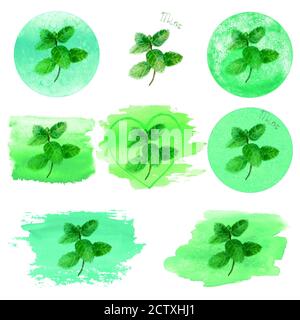 Logos, icônes, étiquettes, autocollants, timbres à la menthe sur fond blanc. Menthe sur les taches vertes . Aquarelle illustrati botanique dessiné à la main Banque D'Images