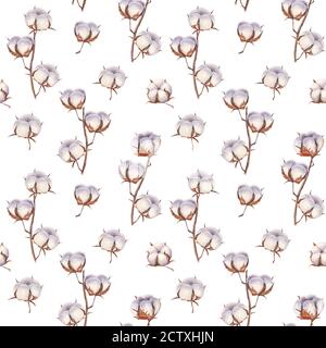 Fleurs en coton Eco bourgeons branches motif sans couture. Aquarelle fond de boules de coton dessiné à la main. Illustration botanique vintage sur fond blanc Banque D'Images