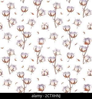 Fleurs en coton Eco bourgeons branches motif sans couture. Aquarelle fond de boules de coton dessiné à la main. Illustration botanique vintage sur fond blanc Banque D'Images