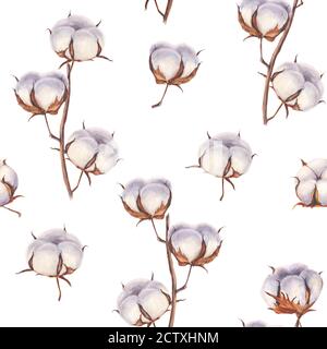 Fleurs en coton Eco bourgeons branches motif sans couture. Aquarelle de boules de coton dessinées à la main. Illustration botanique vintage sur fond blanc. F Banque D'Images