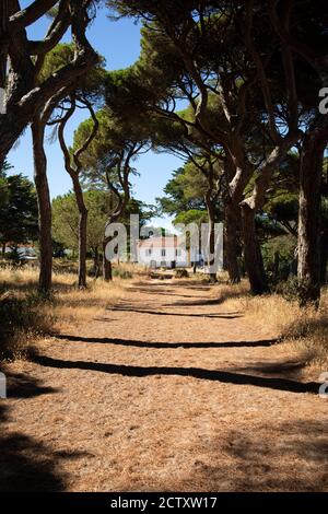 Le complexe hôtelier original Quinta da Marinha est situé dans le parc naturel de Sintra - Cascais, classé au patrimoine mondial de l'UNESCO, au Portugal. Banque D'Images
