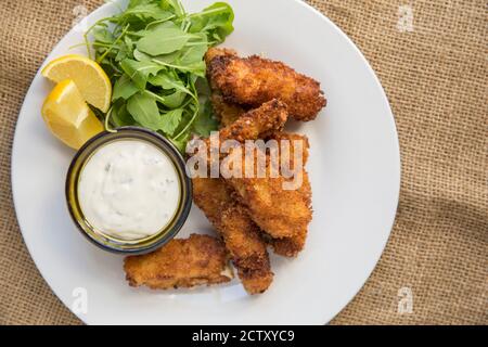 Croquettes de crabe frite à base de viande brune et blanche de crabe brun, cancer pagurus. Servi avec une roquette et un estragon et un mayonnais au citron Banque D'Images