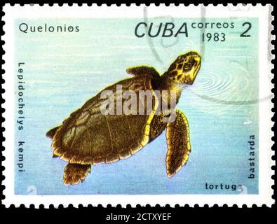 Saint-Pétersbourg, Russie - le 18 septembre 2020 : timbre imprimé à Cuba l'image de la tortue de mer Kemp Ridley, Lepidochelys kempii, vers 1983 Banque D'Images