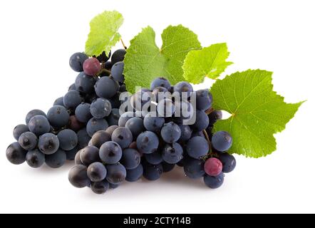 grappes de raisins violets avec feuilles vertes isolées sur fond blanc. Banque D'Images