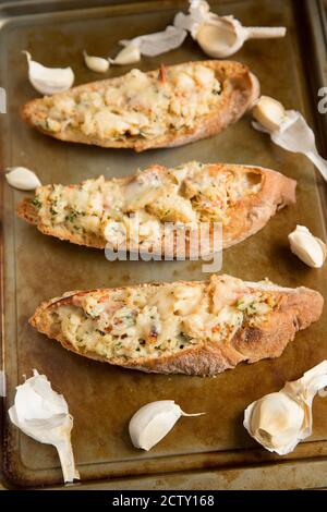 La viande de crabe blanc qui a été cuite avec du beurre, du persil et de l'ail, placée sur du pain de ciabatta grillé et grillée avec du parmesan. Dorset Angleterre Banque D'Images