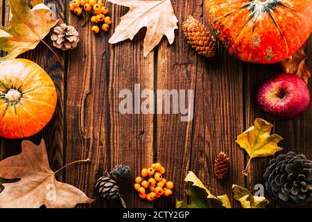 Arrière-plan de l'automne. Cadre en feuilles sèches, citrouille et cônes. Copspace Banque D'Images