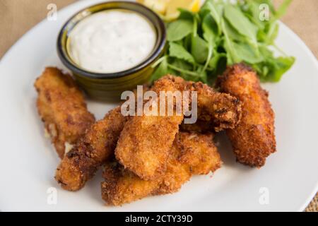 Croquettes de crabe frite à base de viande brune et blanche de crabe brun, cancer pagurus. Servi avec une roquette et un estragon et un mayonnais au citron Banque D'Images