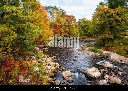 Superbes couleurs d'automne le long de la rivière de montagne sur un partiellement nuageux jour d'automne Banque D'Images