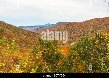 Magnifique paysage de montagne boisée au sommet du feuillage d'automne un matin nuageux Banque D'Images