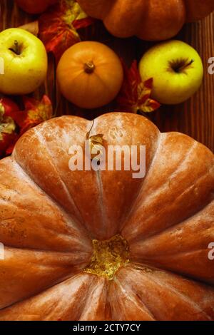 Bouquet de citrouilles et de pommes. Arrière-plan du jour de Thanksgiv Citrouilles de Thanksgiving d'automne sur fond de bois. Concept du festival de la récolte d'automne. Composition pour cartes postales et affiches. Banque D'Images