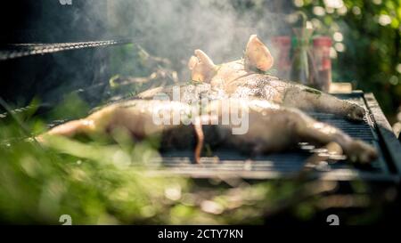 Les porcelets rôtis et croustillants sont grillés au barbecue. Gros plan de délicieux cochon entier sur barbecue, cuisine maison. Chef cuisant du porc savoureux Banque D'Images