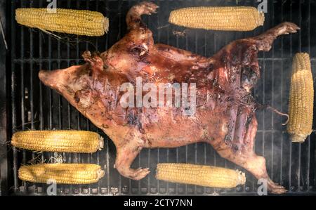 Le porc rôti croustillant qui est grillé au barbecue avec du maïs sur l'épi. Gros plan de délicieux cochon entier sur barbecue, cuisine maison. Chef Banque D'Images