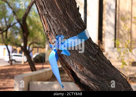 Ruban bleu attaché autour d'un arbre pour honorer les travailleurs de la santé Signifie également « Blue Lives Matter », pro-police Banque D'Images