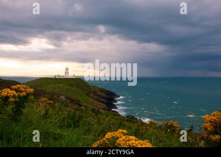 paysage côtier avec des pâquerettes jaunes dans une prairie et de hautes falaises. Un ciel nuageux, des vagues de l'océan et un petit phare sont en arrière-plan. IMAG Banque D'Images