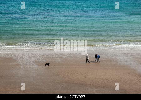 Île de Wight, Royaume-Uni 04/25/2010: Vue aérienne de trois personnes âgées se promenant sur une plage de sable l'après-midi. Leur chien noir les attend avec humour Banque D'Images