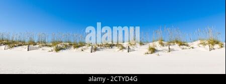 Dunes de sable sur le golfe du Mexique, Orange Beach, Baldwin County, Alabama, États-Unis Banque D'Images