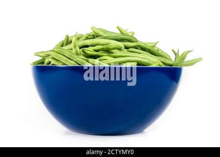 Dosettes de haricots verts dans un grand bol de cuisine. Grand bol à mélanger en plastique bleu foncé avec des haricots verts crus qui débordent sur le bord. Fraîchement cueillies dans le jardin. Banque D'Images